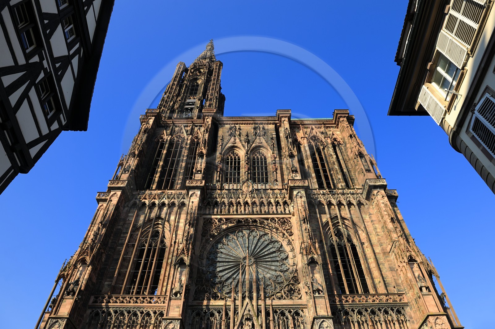 France, Bas-Rhin (67), Strasbourg, la cathédrale Notre-Dame, la façade occidentale France, Bas-Rhin (67), Strasbourg, la cathédrale Notre-Dame, la façade occidentale