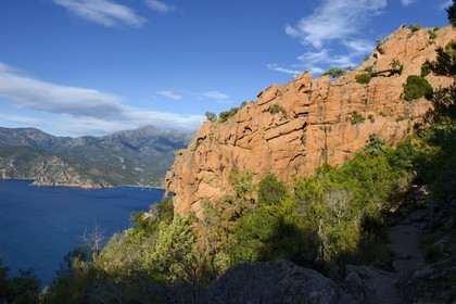 France, Corse-du-Sud (2A), Golfe de Porto, classé Patrimoine Mondial de l'UNESCO, calanches de Piana aux rochers de granit rose le long du chemin dit du Chateau-Fort et la plage de Bussaglia en arrière plan