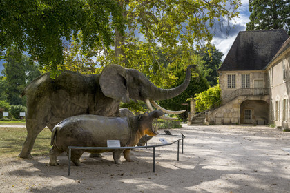 France, Côte-d'Or (21), Dijon, parc de l'Arquebuse, le Jardin des Sciences, devant le Muséum d'histoire naturelle, animaux d'Afrique, éléphant, hippopotame, rhinocéros