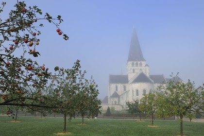 France, Seine-Maritime (76), Saint-Martin-de-Boscherville, Abbaye Saint-Georges de Boscherville du XIIe siècle et les jardins