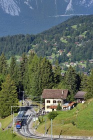 Switzerland, Canton of Vaud, Villars-sur-Ollon, train to the Bretaye pass station, stop at Col de Soud restaurant