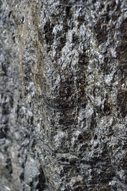 France, Moselle, Petite Rosselle, carreau Wendel museum, coal