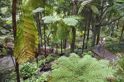 Portugal, Madeira Island, Funchal, the Monte Palace tropical garden