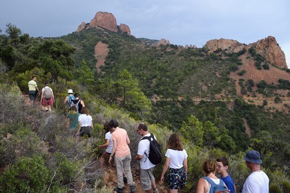 France, Var (83), Agay commune de Saint-Raphaël, massif de l'Estérel, randonnée dans le massif du Cap Roux