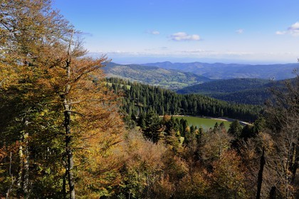 France, Haut-Rhin (68), en contrebas de la route des Crêtes, le lac Vert ou lac de Soultzeren au pied du massif du Tanet