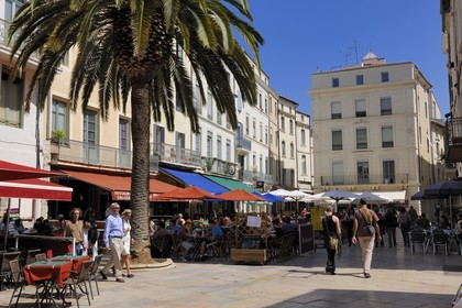 France, Gard, Nimes, the market place