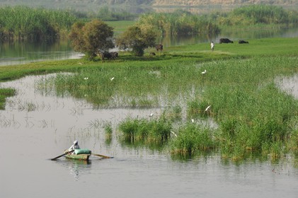 Egypte, Haute Egypte, vallée du Nil, barque de pêcheur sur le Nil entre Kom Ombo et Assouan