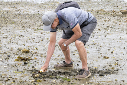 France, Finistère, Bay of Morlaix, Carantec, fisherman walking on the foreshore at low tide towards Ile Callot (aerial view)
