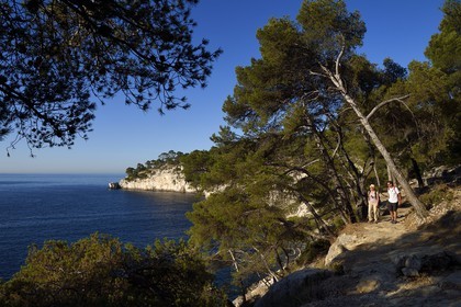 France, Bouches-du-Rhône (13), Marseille, Parc national des Calanques, Calanque de Port-Pin, André Bernard fondateur du bureau des guides de Cassis en randonnée (demande d'autorisation nécessaire avant publication)
