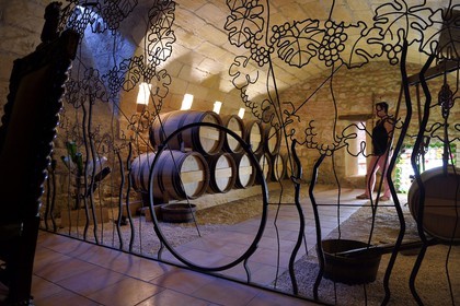 France, Dordogne (24), Périgord Pourpre, Bergerac, la Maison des Vins de Bergerac dans l'ancien Cloitre des Recollets