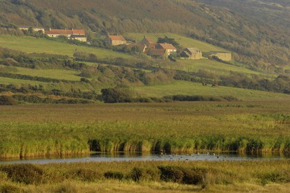 France, Manche (50), Cap de la Hague, dunes de l'anse de Vauville, la mare de Vauville