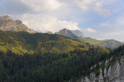 Suisse, canton de Vaud, Les Diablerets au Col de la Croix
