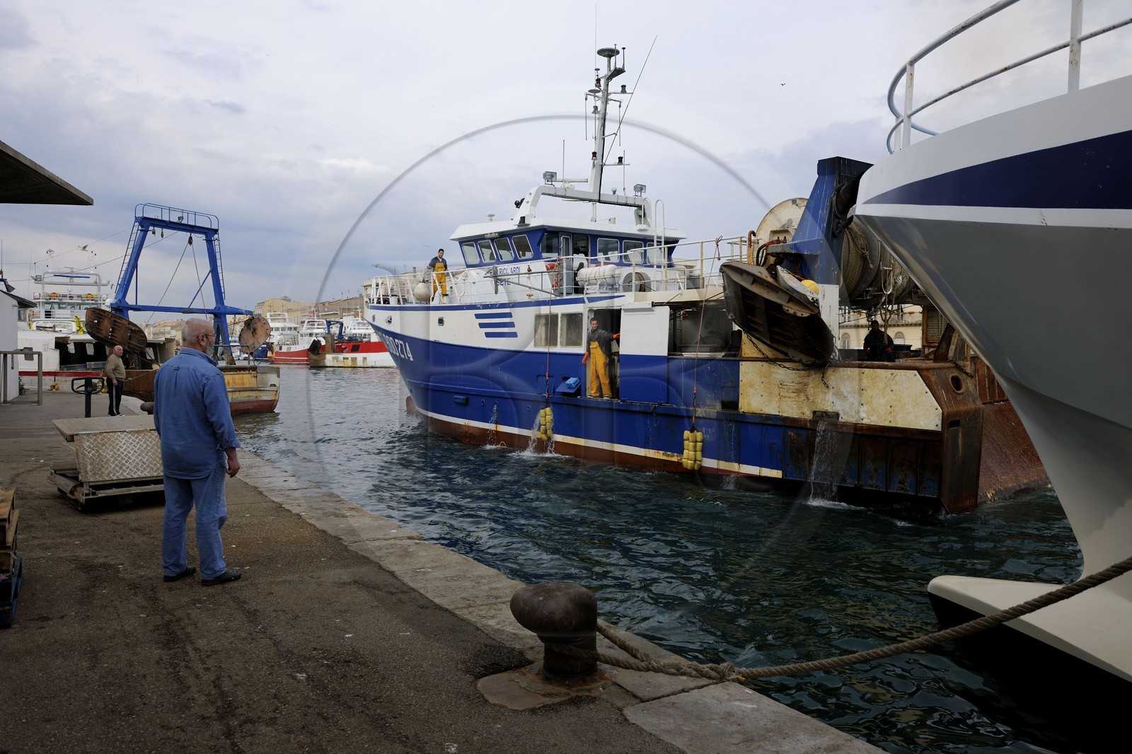 France, Hérault (34), Sète, Vieux Port, activité d’amarrage sur le quai de la criée