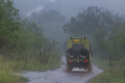 Rwanda, Parc national de l'Akagera, safari en 4x4 sur une piste sous la pluie