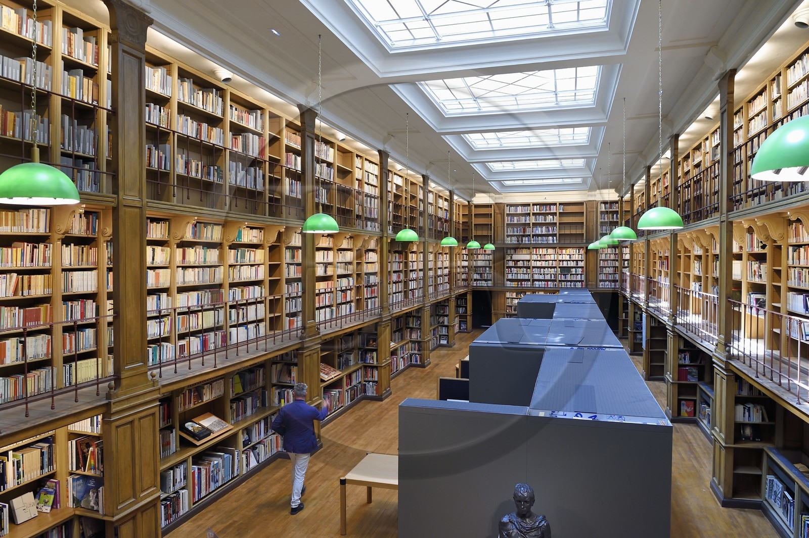 France, Var (83), Toulon, Musée d'Art de Toulon (MAT), la bibliothèque