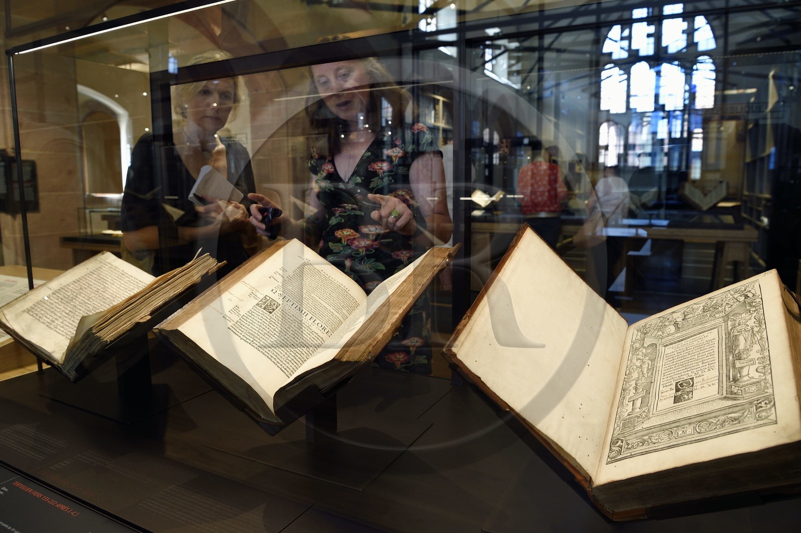 France, Bas-Rhin (67), Selestat, la Bibliothèque humaniste réaménagée par l'architecte Rudy Ricciotti, provenant à l'origine de la bibliothèque personnelle de Beatus Rhenanus (1485-1547)