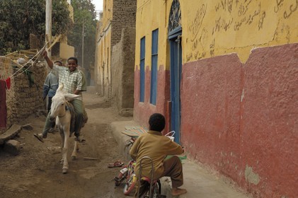 Egypte, Haute Egypte, Nubie, vallée du Nil, Assouan, Ile Elephantine, le village nubien