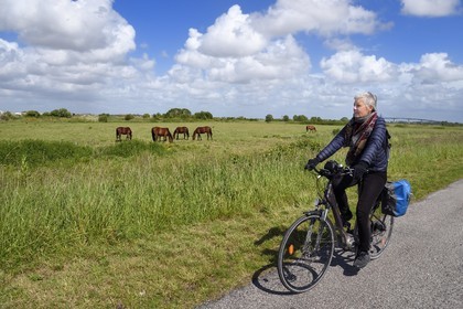 France, Charente-Maritime (17), Rochefort, cyclistes sur la véloroute La Flow Vélo dans les zones inondables de l'estuaire de la Charente