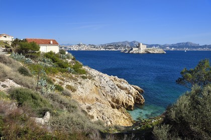 France, Bouches du Rhone, Marseille, Calanques National Park, archipelago of Frioul islands, Ratonneau island and the Chateau d'If