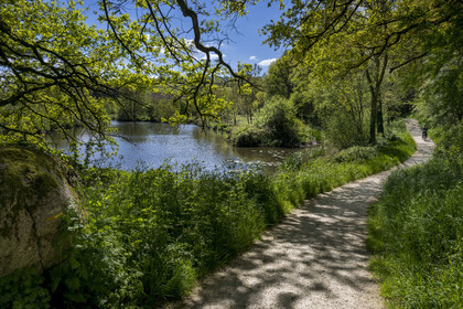 France, Vendée (85), Saint-Laurent-sur-Sèvre, randonnée cycliste sur la piste de la véloroute Vendée Vélo Tour