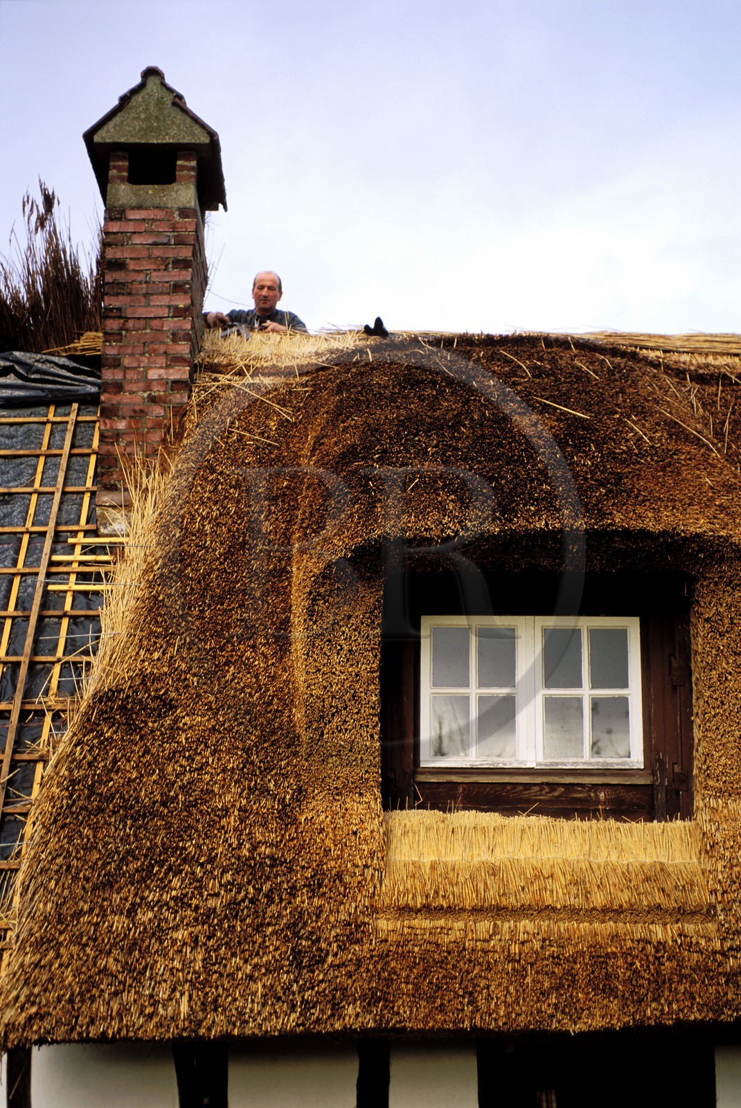 France, Eure (27), Pont-Audemer, le couvreur Jacques Baudoin posant un toit de chaume