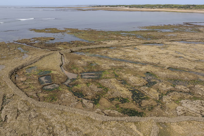 France, Charente Maritime, Oleron island, Saint Georges d'Oléron, Sables Vignier beach at low tide, the Basses fish lock (aerial view)