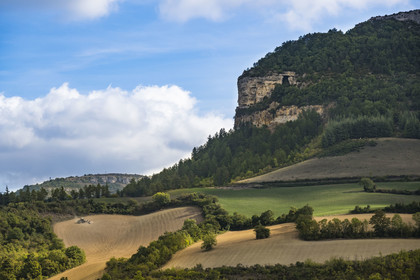 France, Aveyron (12), parc naturel régional des Grands-Causses, Roquefort-sur-Soulzon, le rocher du Combalou abritant les fleurines des caves de Roquefort