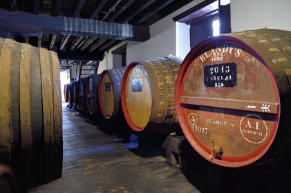 Portugal, Madeira Island, Funchal, Madeira Wine Company, Madeira barrels (natural sweet wine) stored in the cellar of the Blandy's brand (founded in 1811)