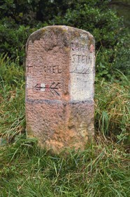 France, Haut Rhin, Thannenkirch, hiking in the Taennchel massif, sandstone direction bollard
