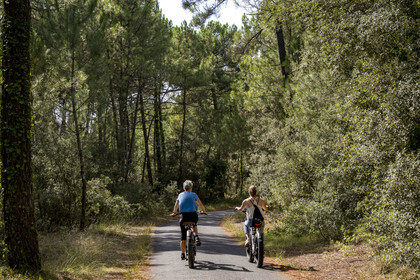 France, Charente-Maritime (17), Royan, Les Mathes, cyclistes sur la Vélodyssée, la piste cyclable EuroVelo1 qui longe l’Atlantique au nord de La Palmyre