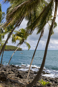 France, Guyane, Kourou, Iles du Salut, l'Ile Royale, l'Ile du Diable en arrière plan