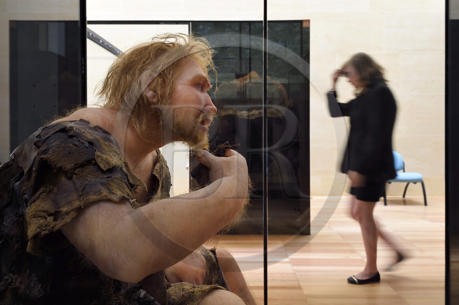 France, Dordogne (24), Périgord Noir, vallée de la Vézère, Les Eyzies-de-Tayac-Sireuil, site classé Patrimoine Mondial de l'UNESCO, Musée National de la Préhistoire, proposition de reconstitution de l'Homme de Néandertal provenant du site archéologique de Ferrassie