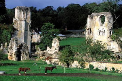 France, Eure, ruines of Mortemer abbey