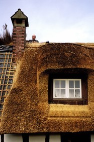 France, Eure, Pont Audemer, thatcher Jacques Baudoin working the traditional way on a roof