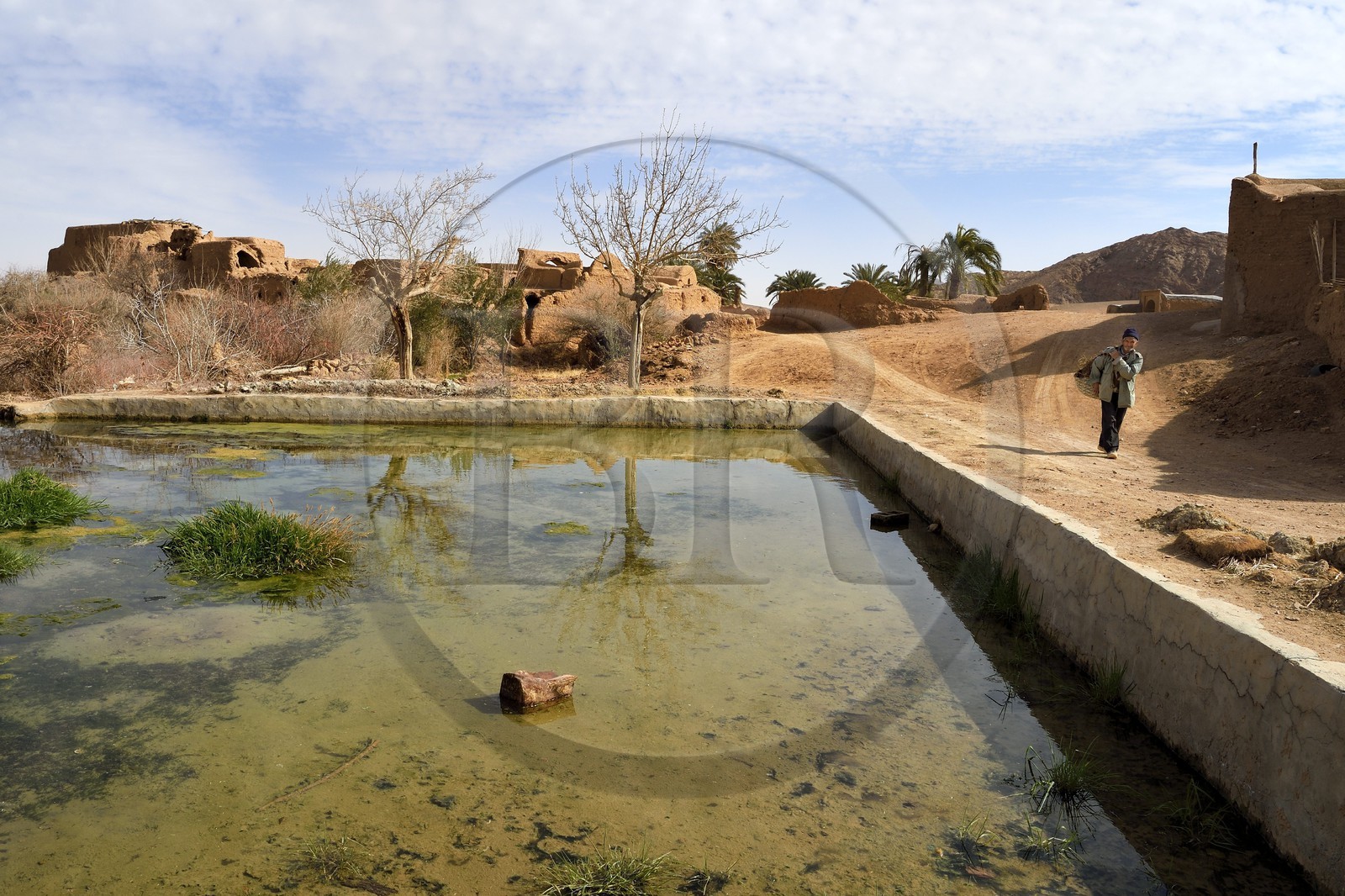 Iran, Province d'Ispahan, désert du Dasht-e Kavir, l'oasis d'Arousan dans la région de Khur et Biabanak, paysan rentrant du champ et réservoir d'eau