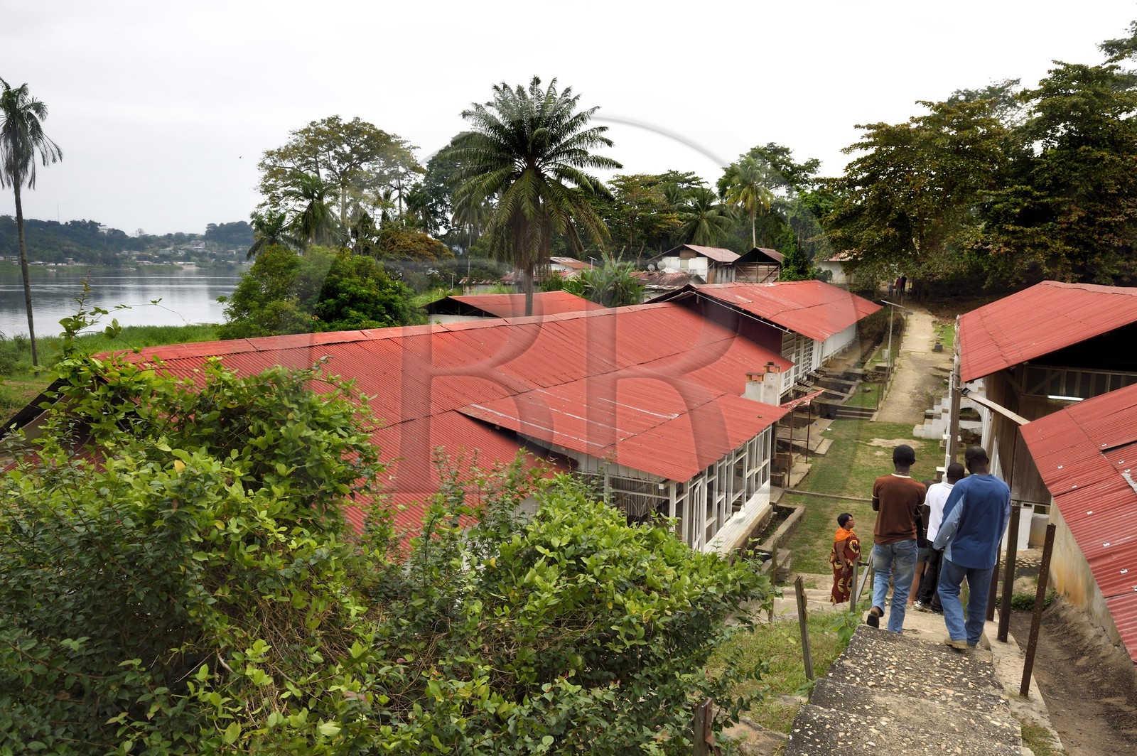 Gabon, Province du Moyen-Ogooué, Lambaréné, l'ancien Hopital Albert Schweitzer et le fleuve Ogooué, une rue de l'hopital entre la Grande Pharmacie (policlinique) et la case Bouka (case des nouveaux opérés) Gabon, Province du Moyen-Ogooué, Lambaréné, l'ancien Hopital Albert Schweitzer et le fleuve Ogooué, une rue de l'hopital entre la Grande Pharmacie (policlinique) et la case Bouka (case des nouveaux opérés)