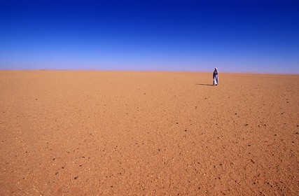 Libye, région du désert, Le Fezzan (Sahara), Messak Mellet (Messak blanc) grand plateau nu