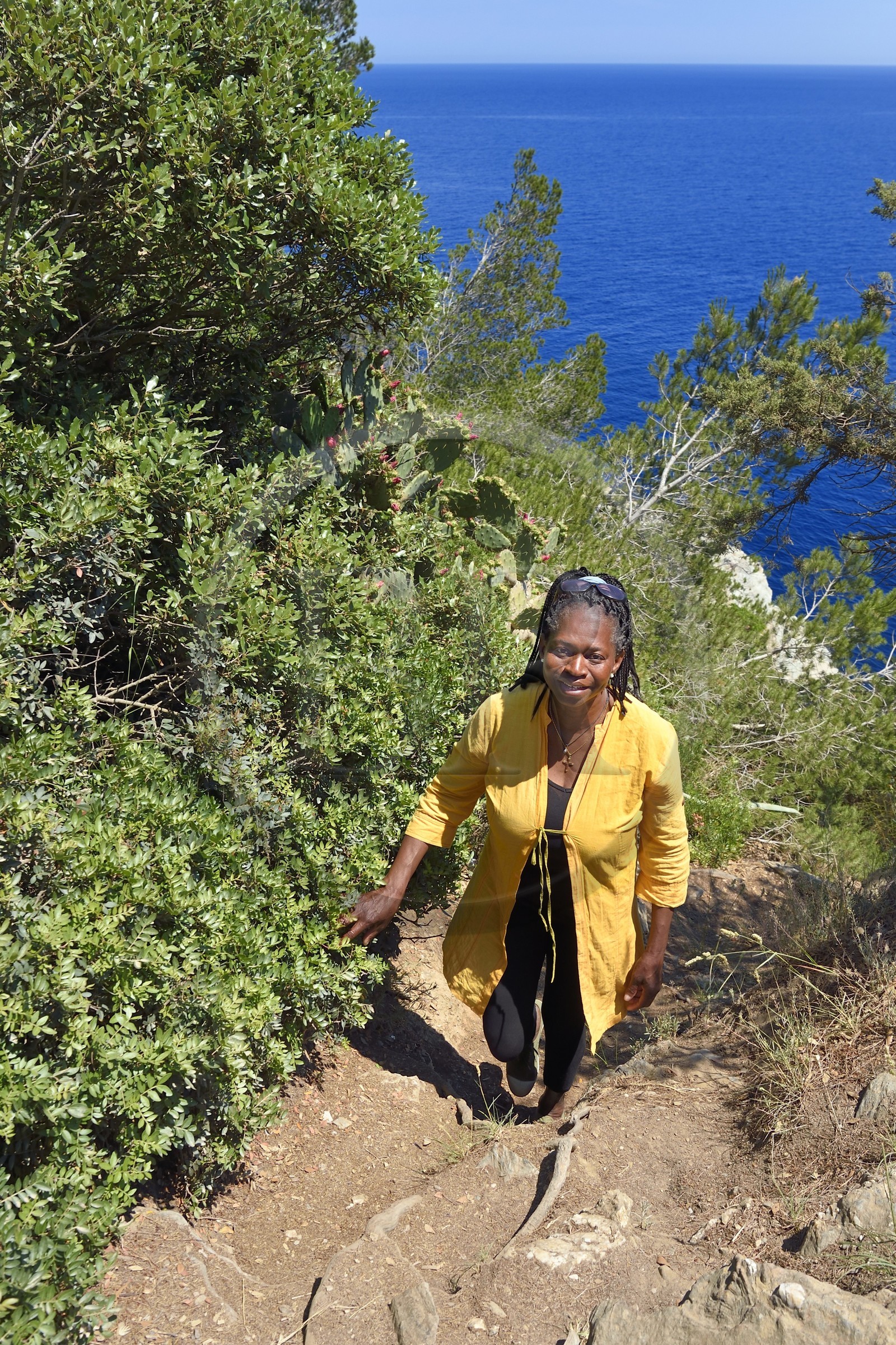 France, Var (83), Iles d'Hyères, parc national de Port Cros, Ile de Porquerolles, cap d'Arme, l'écrivain et journaliste Marie-Joséphine de Clercq qui vit et travaille dans l'Ile