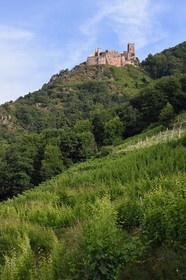 France, Haut-Rhin (68), Route des vins d'Alsace, Ribeauvillé, chateau Saint-Ulrich