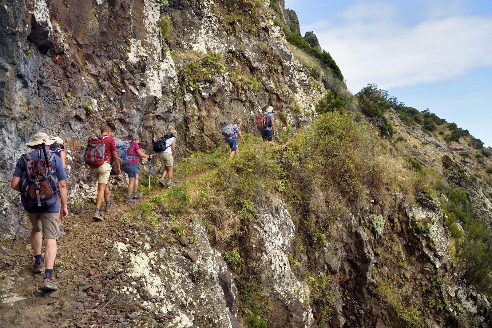Portugal, Ile de Madère, randonnée de Machico à Porto da Cruz par le Vereda do Larano, randonneurs sur le sentier taillé à flanc de paroi dans la falaise de Larano