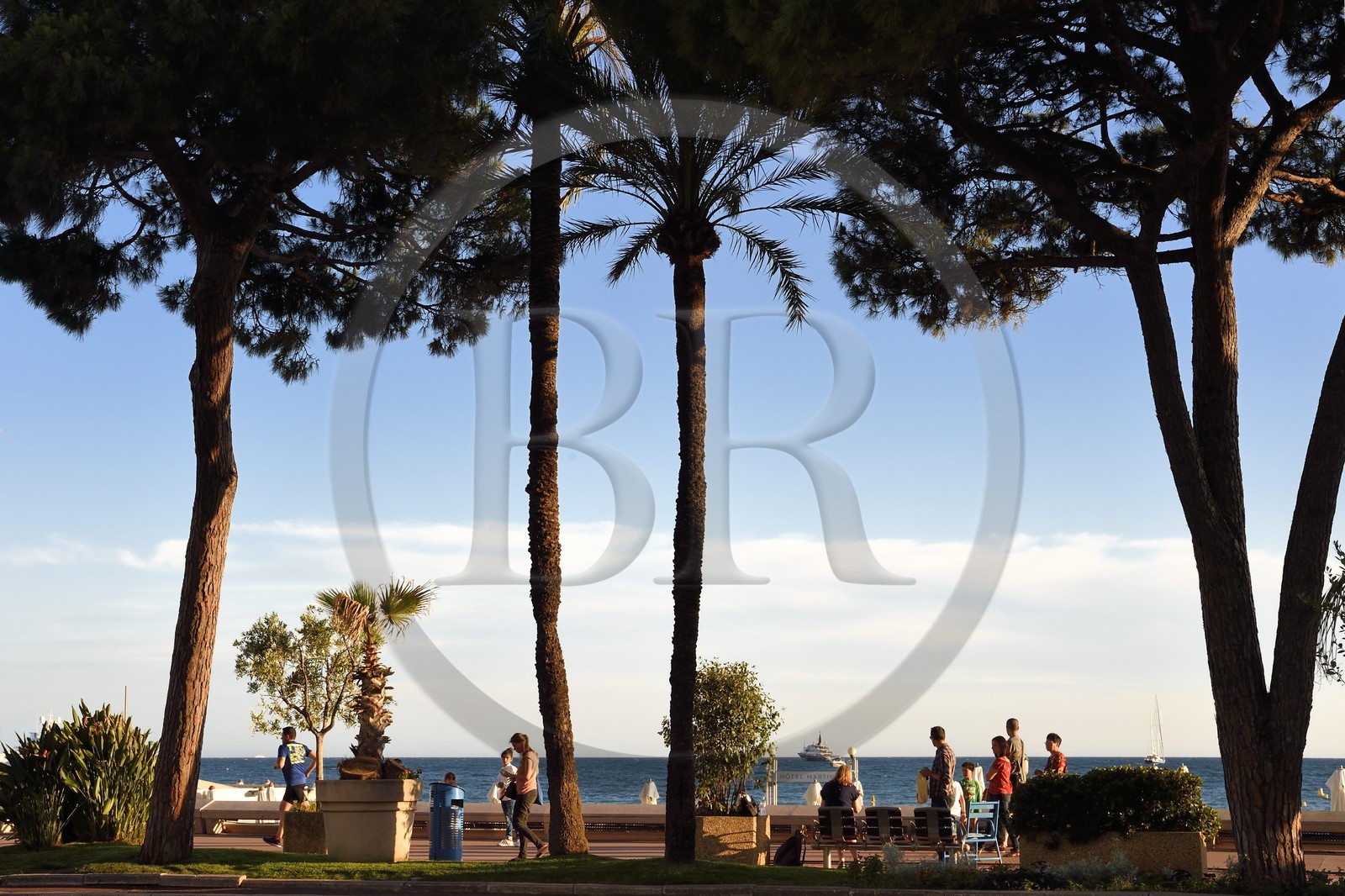 France, Alpes-Maritimes (06), Cannes, la Croisette