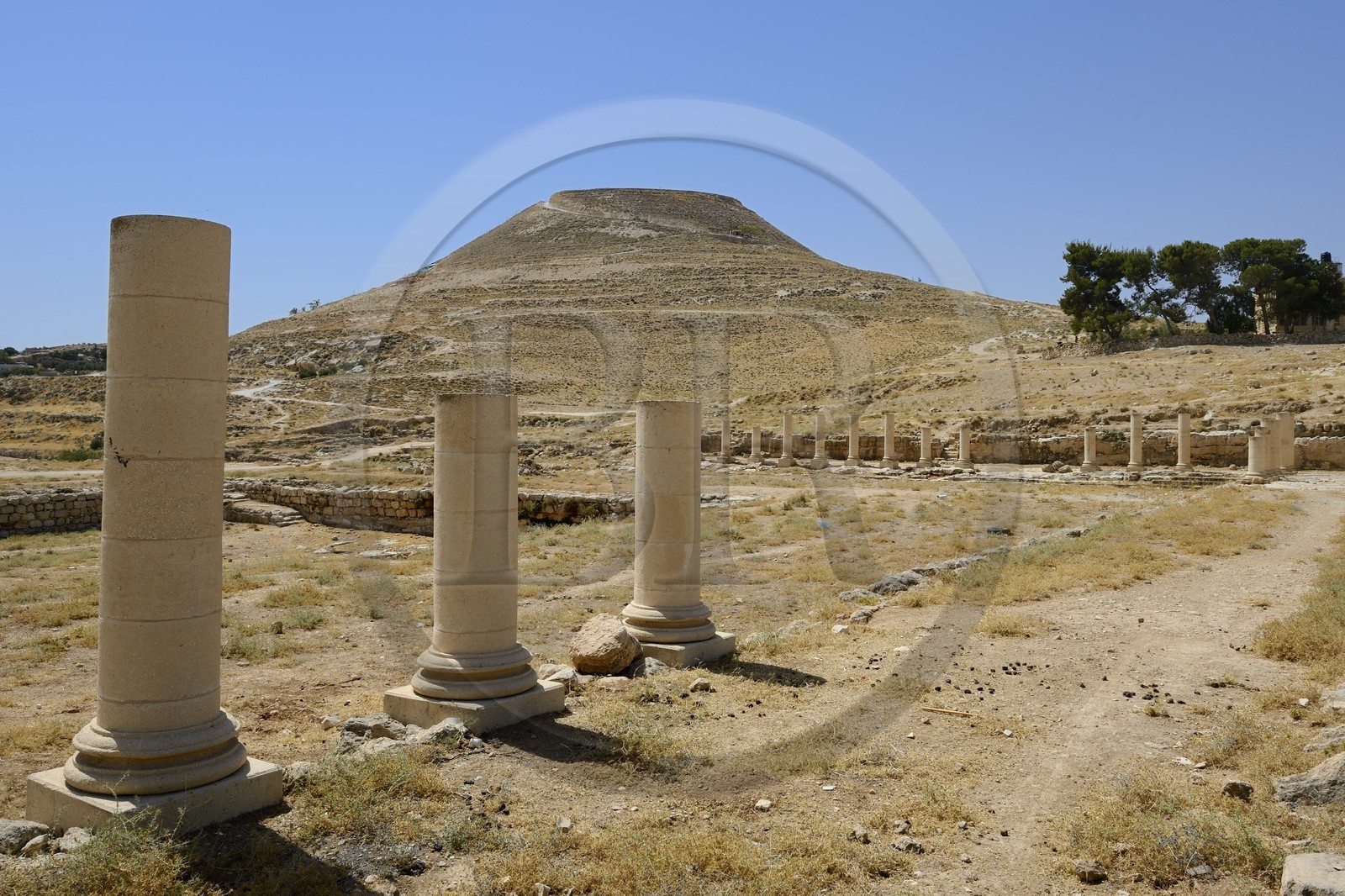 Israel, Cisjordanie, l'Hérodion, colline artificiellement exhaussée qui abrite les ruines d'un palais fortifié construit par le roi Hérode Ier le Grand (site classé Parc National), vestiges du palais de l'Hérodion inférieur et de son bassin