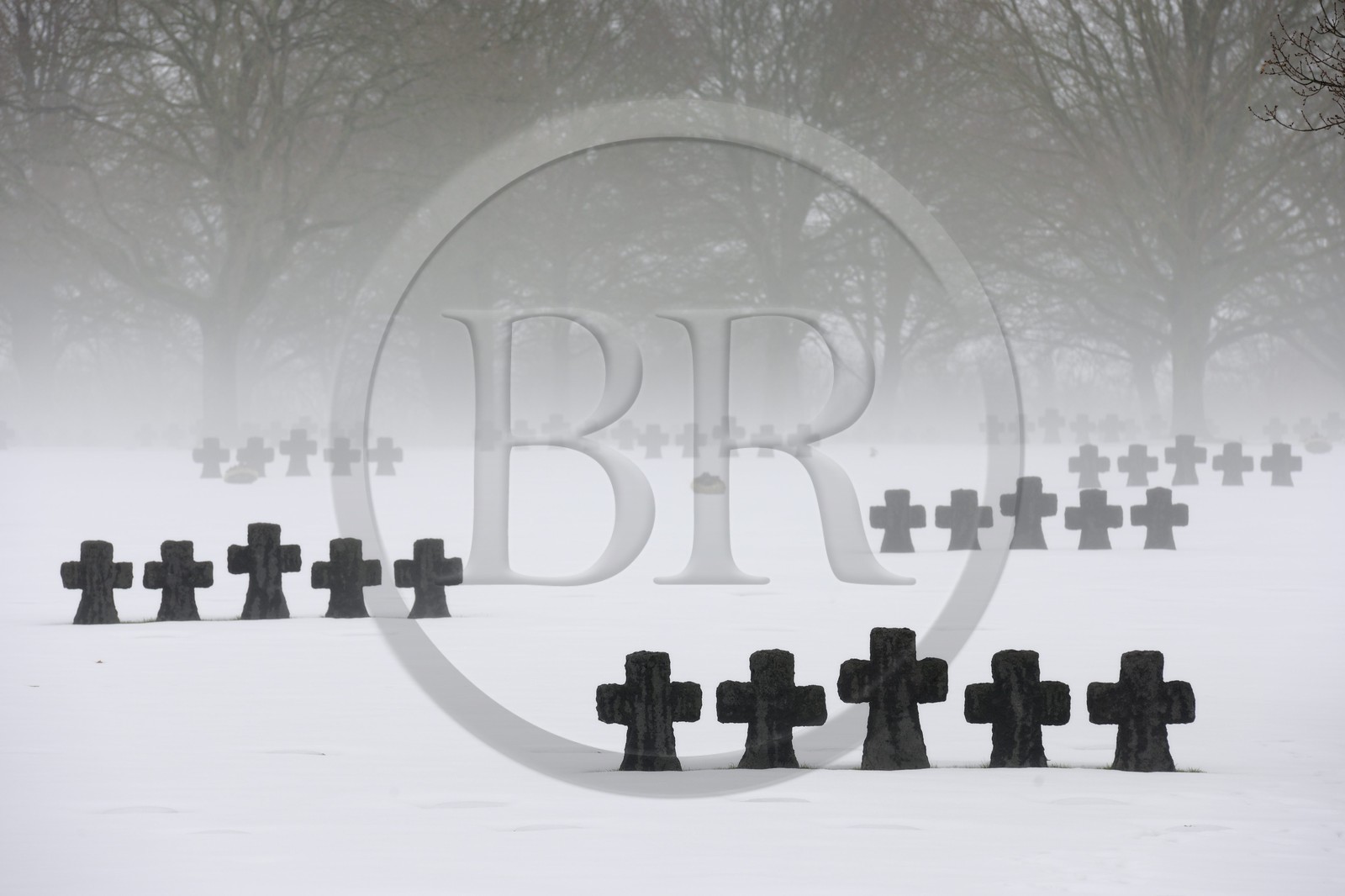 France, Calvados (14), La Cambe, Cimetière militaire allemand de la deuxième guerre mondiale