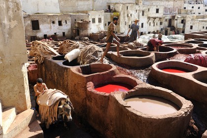 Morocco, Middle Atlas, Fez, Imperial City, Fez El Bali, medina listed as World Heritage by UNESCO, Chouara, tanners of the tannery district