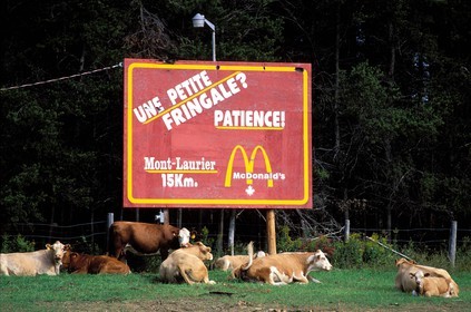 Canada, Quebec Province, Abitibi Temiscamingue, advertisement boarding for Mac Donald