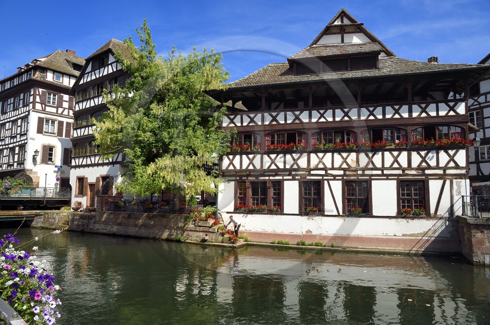France, Bas-Rhin (67), Strasbourg, vieille ville classée au Patrimoine Mondial de l'UNESCO, la Maison des Tanneurs de 1572 (restaurant) France, Bas-Rhin (67), Strasbourg, vieille ville classée au Patrimoine Mondial de l'UNESCO, la Maison des Tanneurs de 1572 (restaurant)