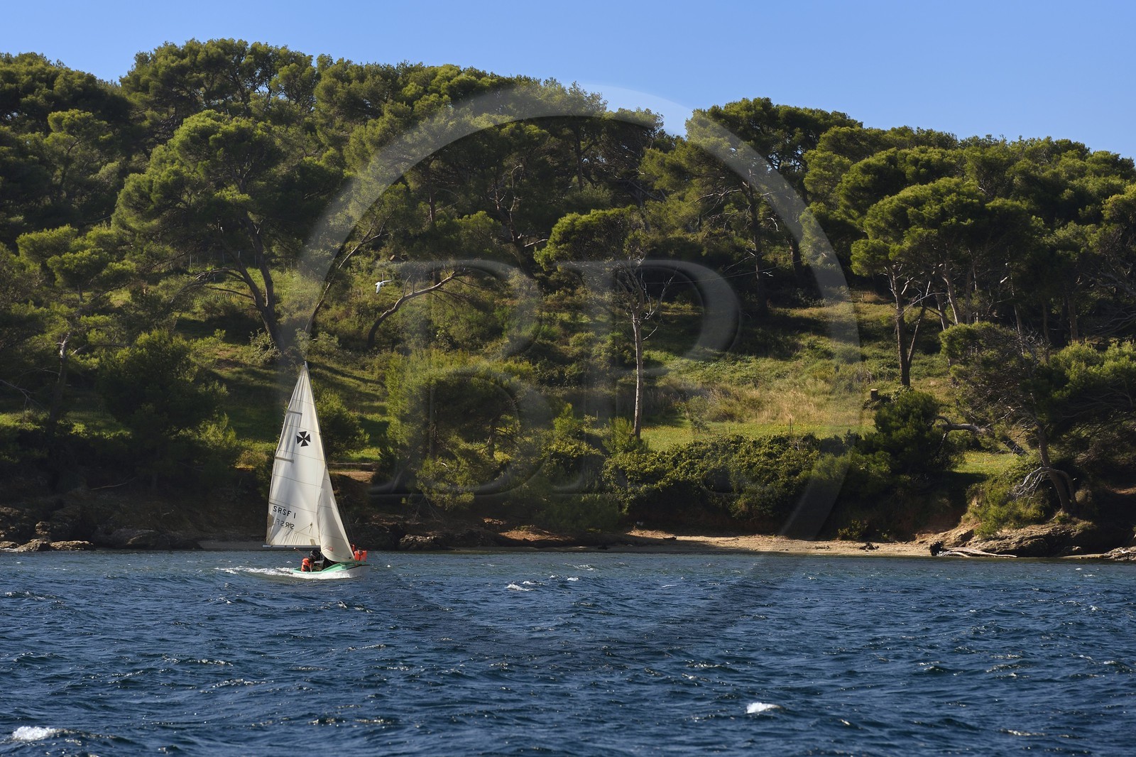 France, Var (83), Ile des Embiez, apprentissage de la voile sur la pointe du Canoubié