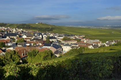 France, Marne, Parc Naturel de la Montagne de Reims (Natural Park of Montagne de Reims), Verzenay, Champagne vineyards