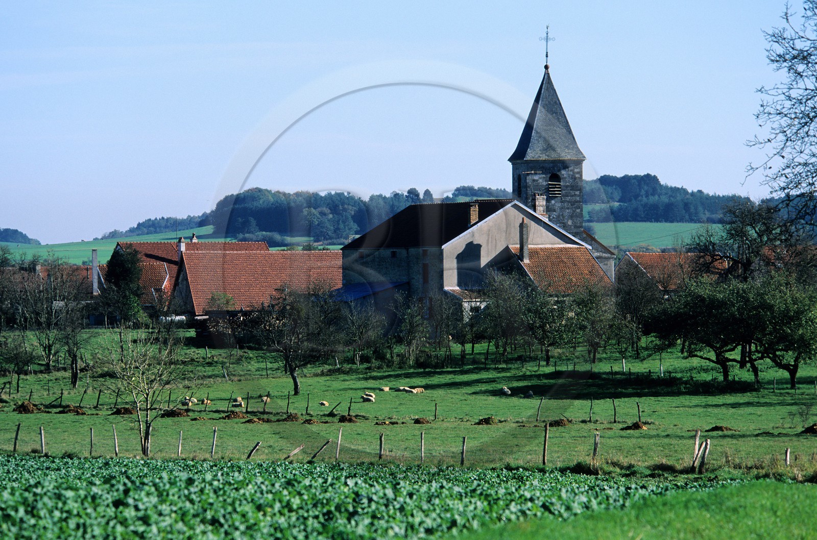 France, Haute-Marne (52), village de Marac