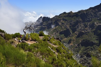 Portugal, Ile de Madère, randonnée sur le Vereda do Areeiro entre les monts Pico Ruivo (1862m) et Pico Arieiro (1817m), le Pico das Torres en arrière plan